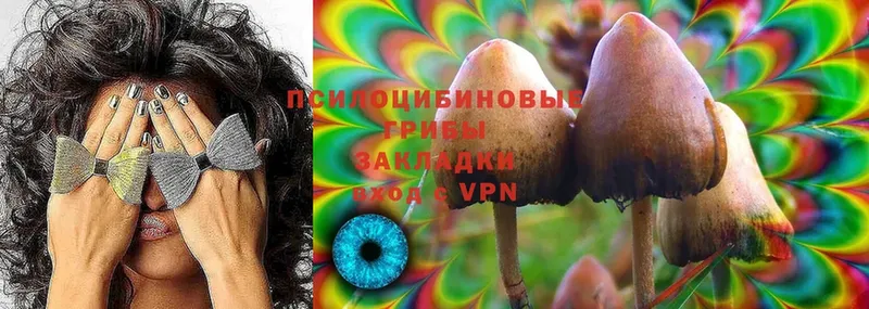 Галлюциногенные грибы Cubensis  сколько стоит  Дагестанские Огни 